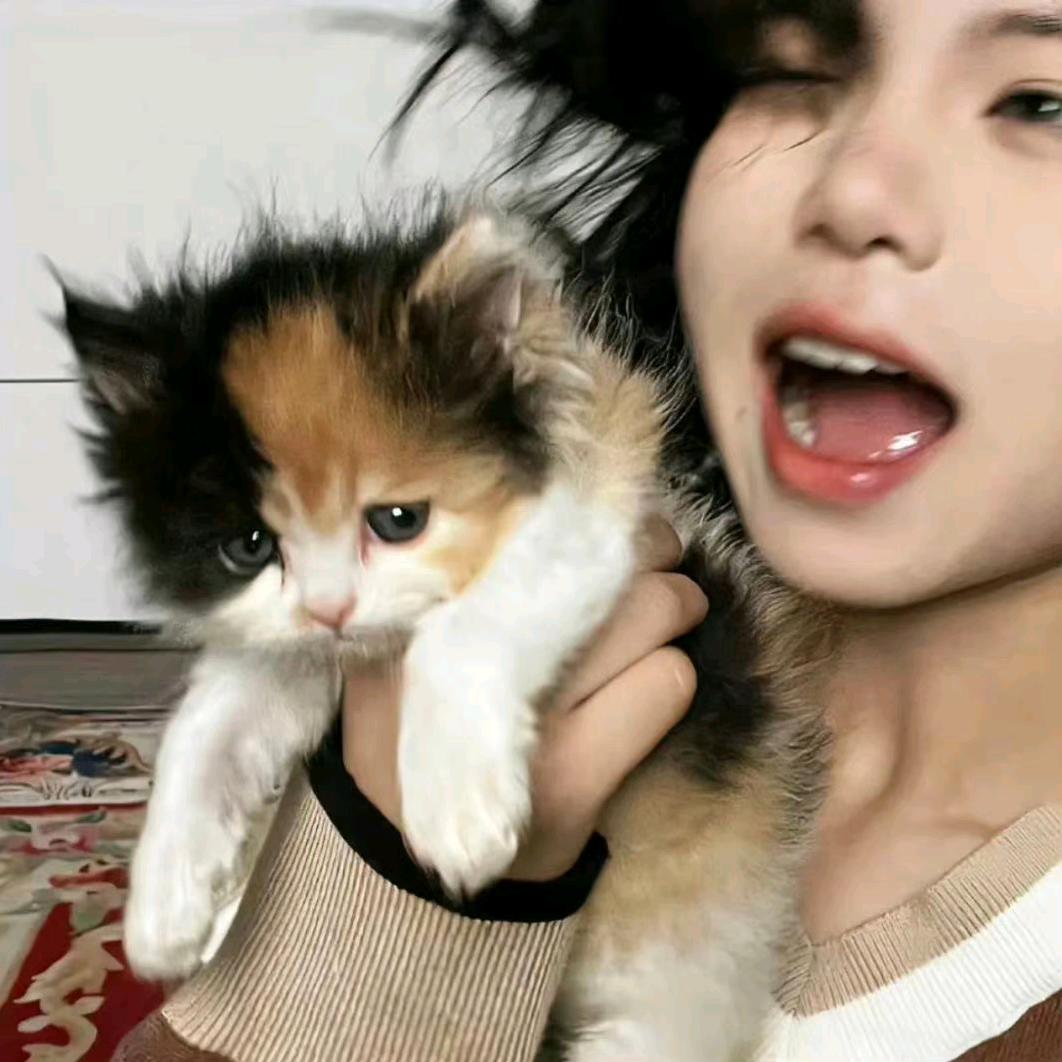 倦桉