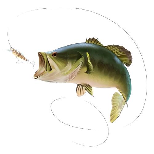 sky逍遥太子🎣(路亚钓鱼水滴轮版)