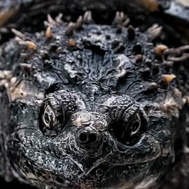 EDGE-刃【佛州】