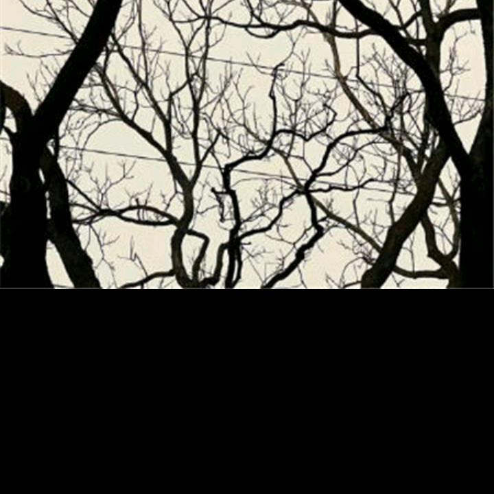 敲门哥