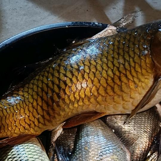 新的生活
