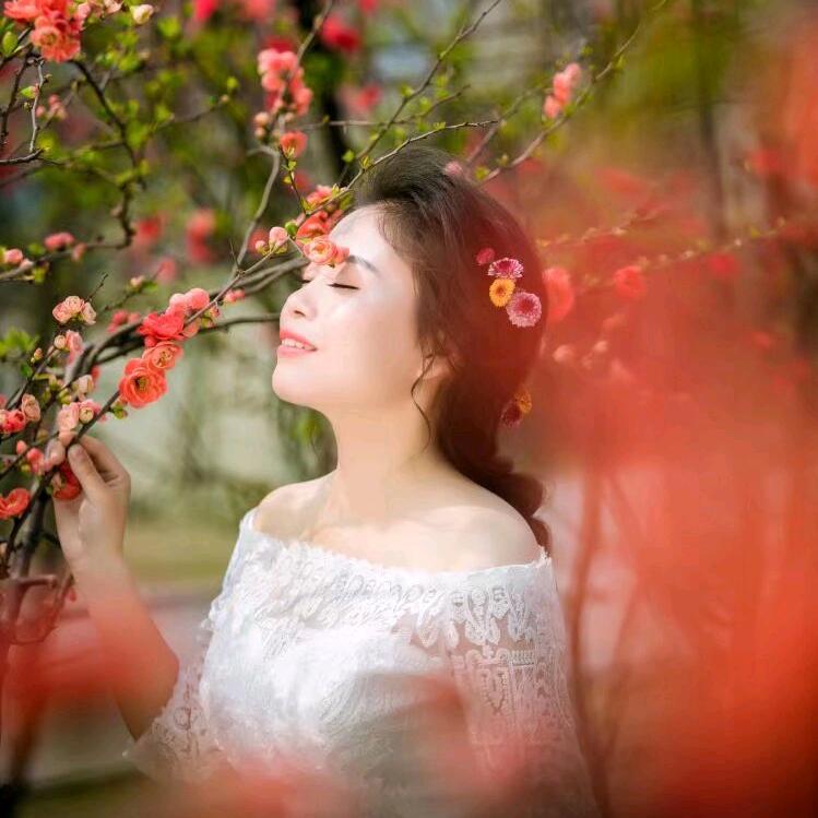 💕平凡之心
