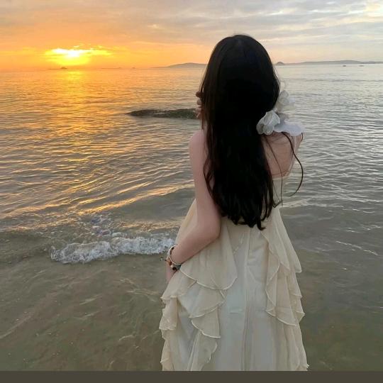 小杨不吃草