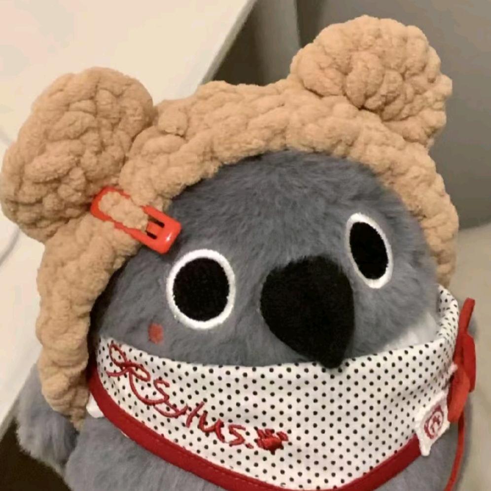 彤彤是只小狸花