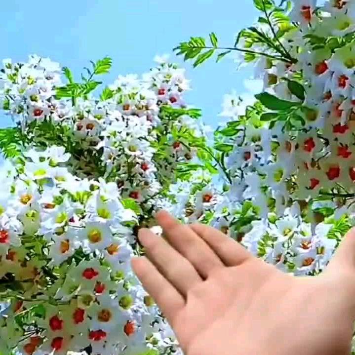 浪迹天涯