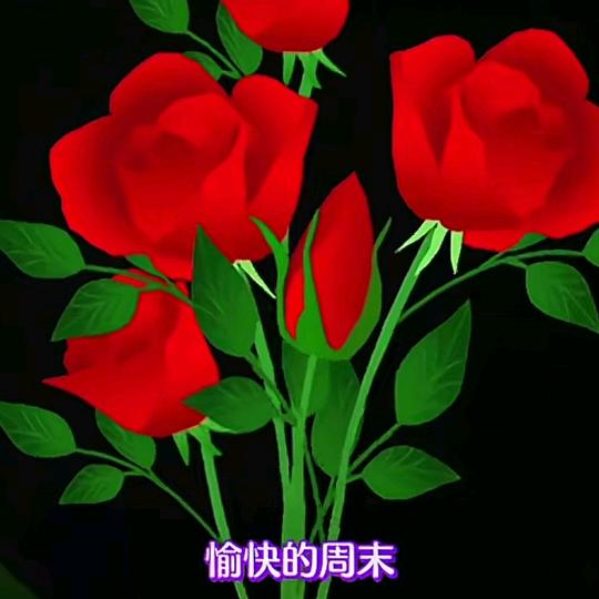 运满乾坤