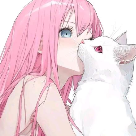 姚6.