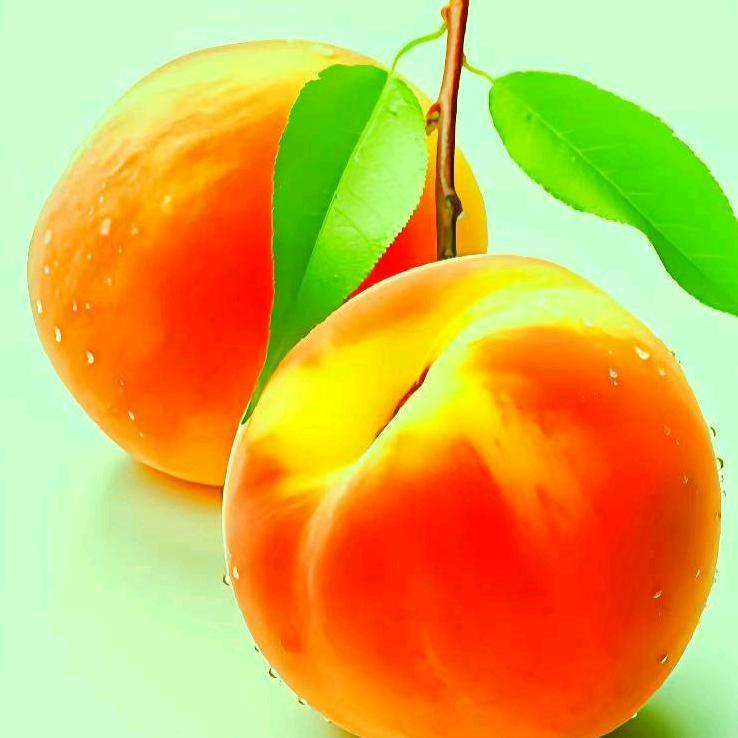 @只若初见