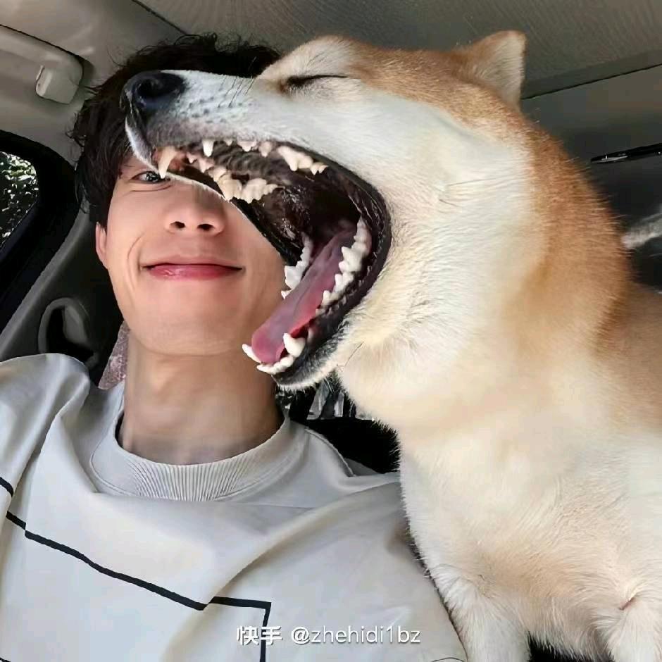 扑朔