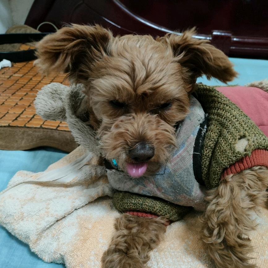秋词
