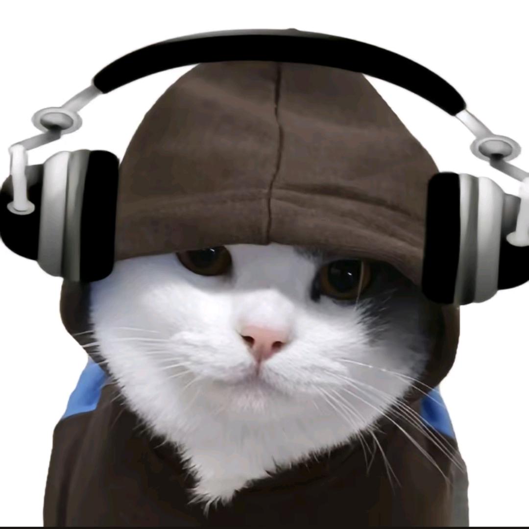 西地亚明星驾校