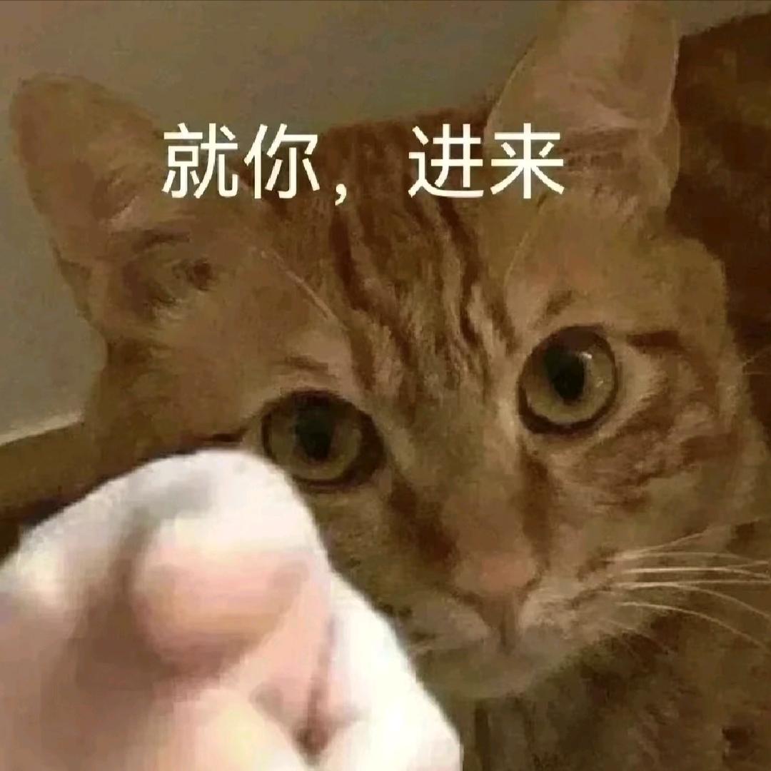 素材挖掘机