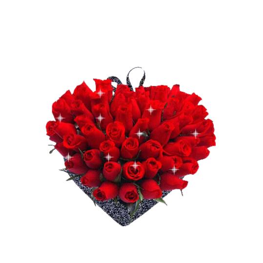 玫瑰🌹💞