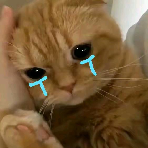晚安