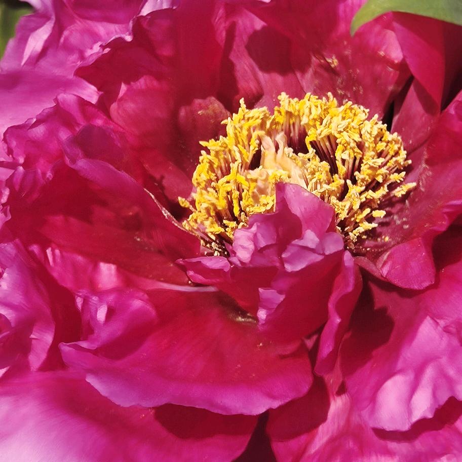 刘丁石白道口支行