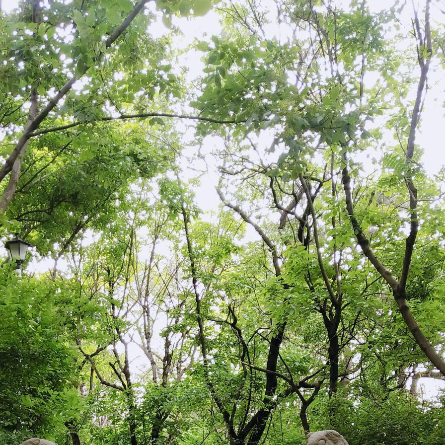 鑫 鑫