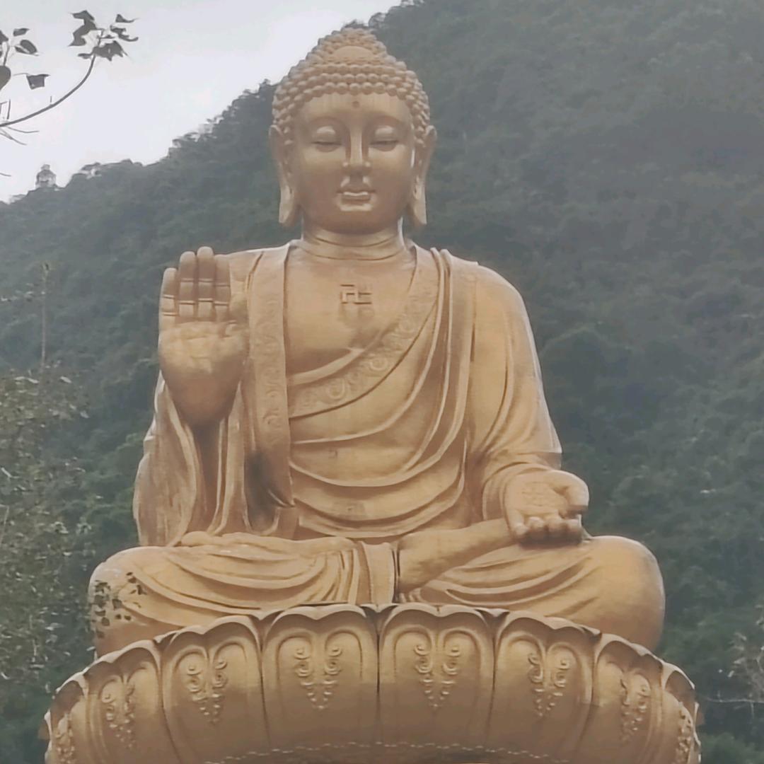 童振枫