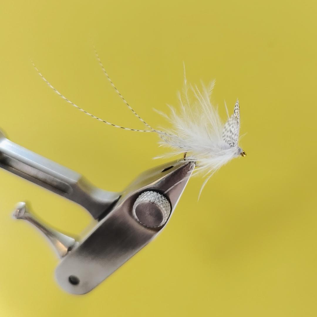 山水一程≡ᴰᴶᴰ