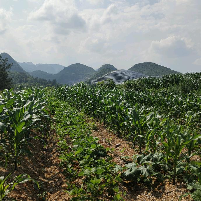 苡王之姿℡俯视世界