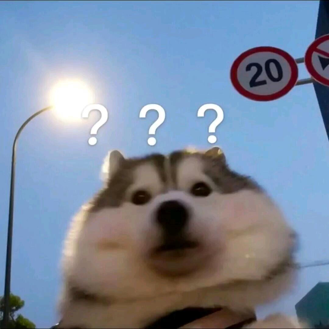 懒觉