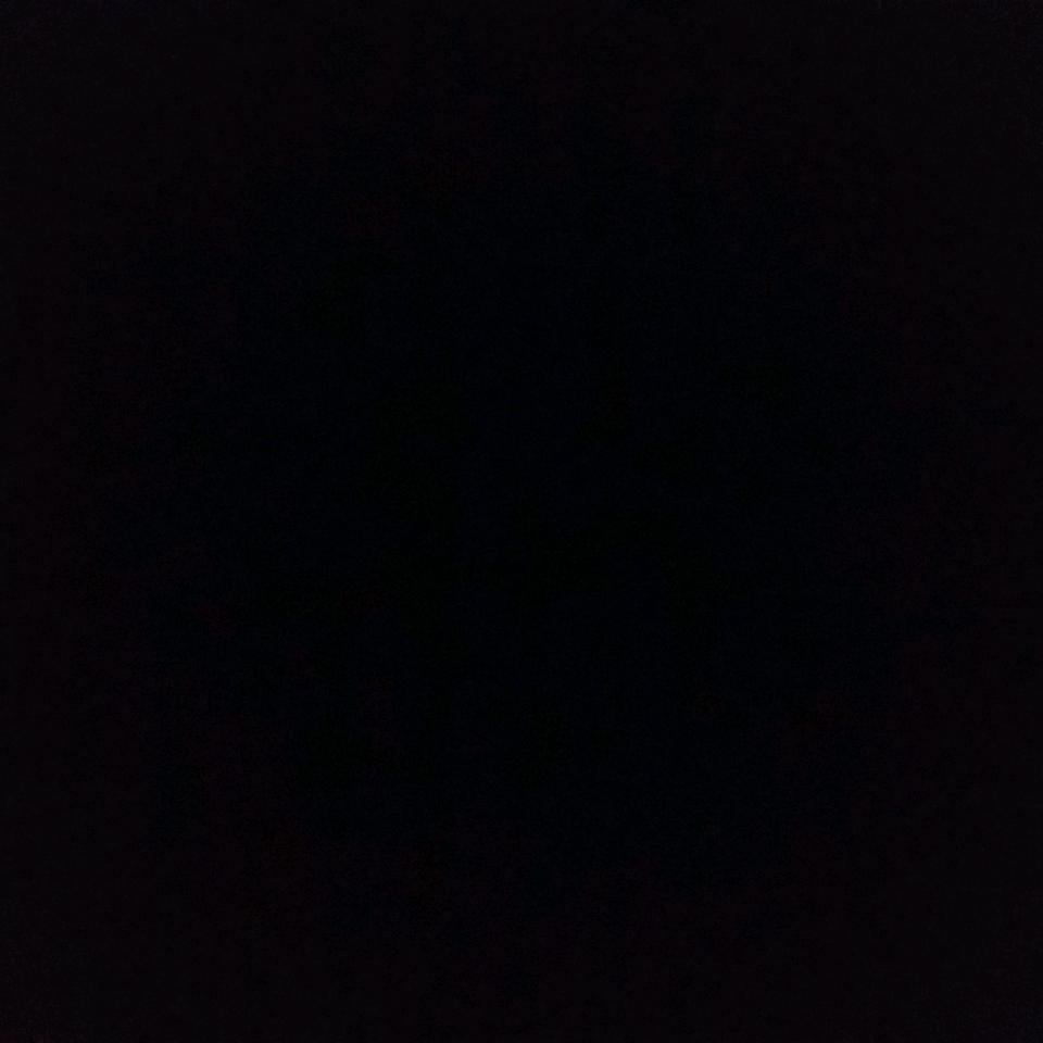 小鱼