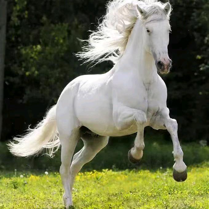 🌈笑看人生如梦🔥