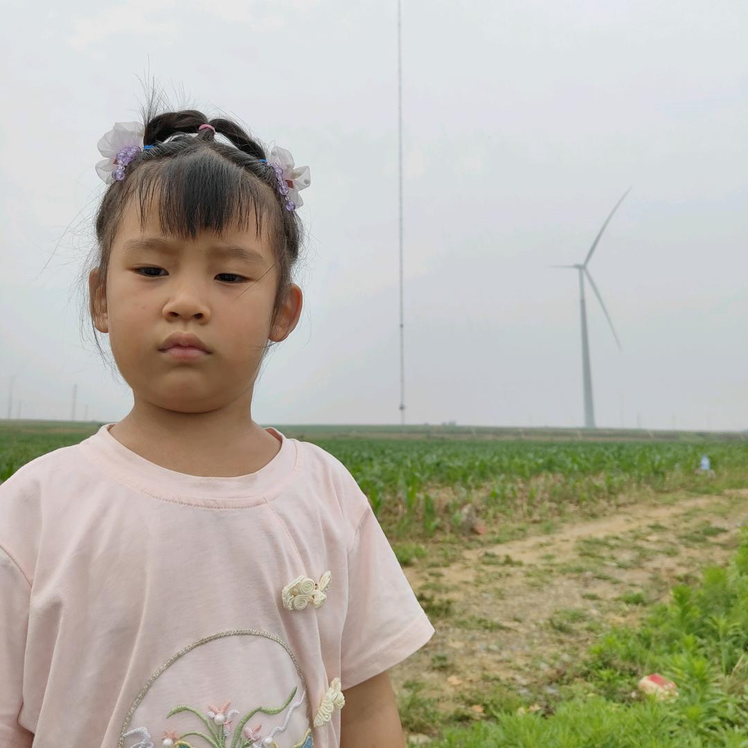 琴儿🌳🌳🌳🌳