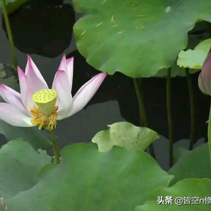 健康快乐是福