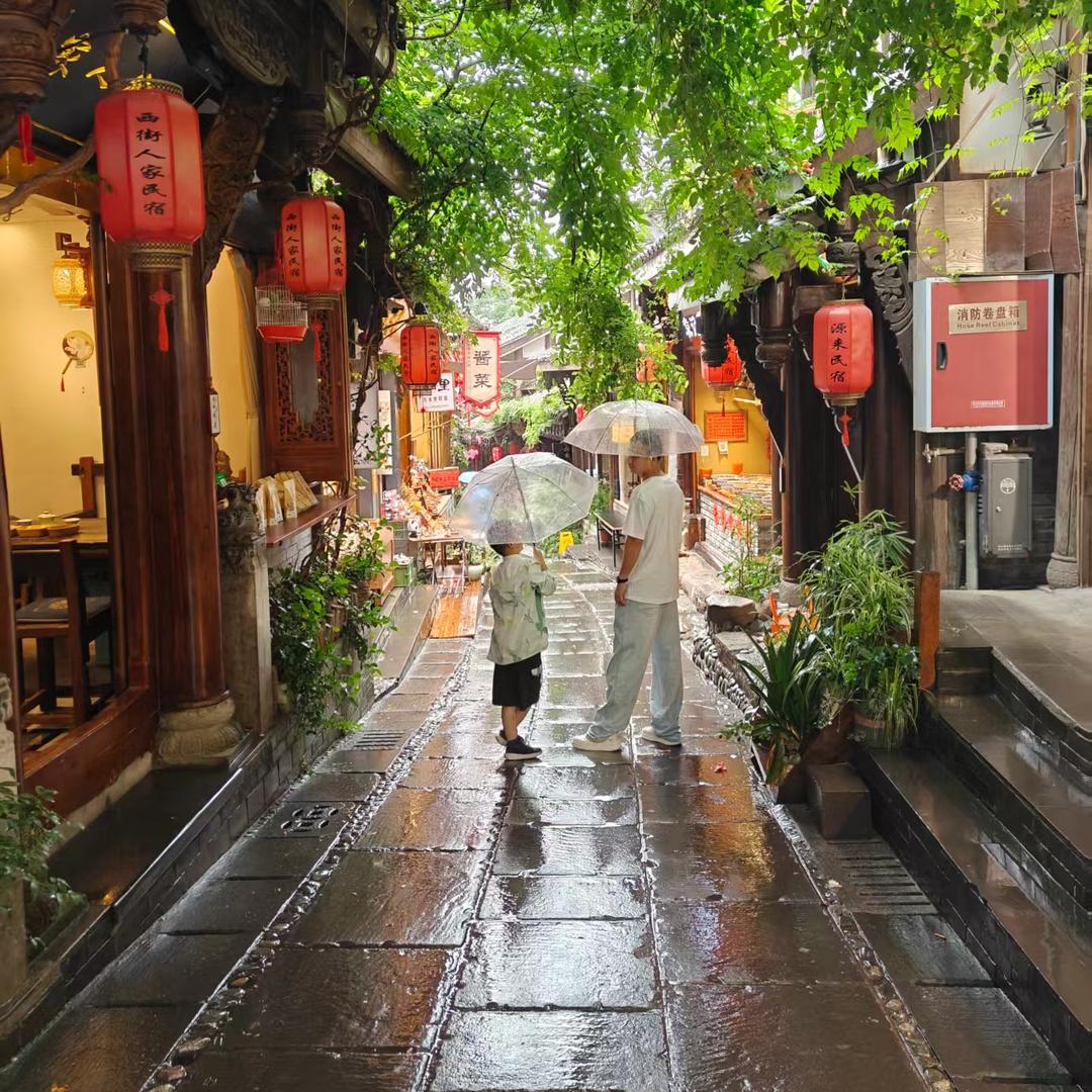 摆烂版