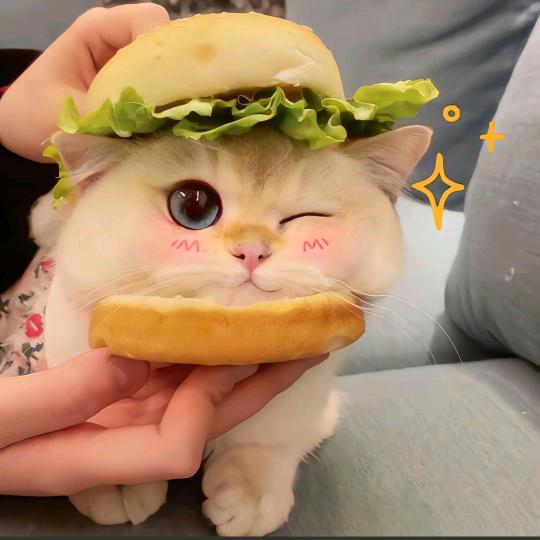 珂嫒