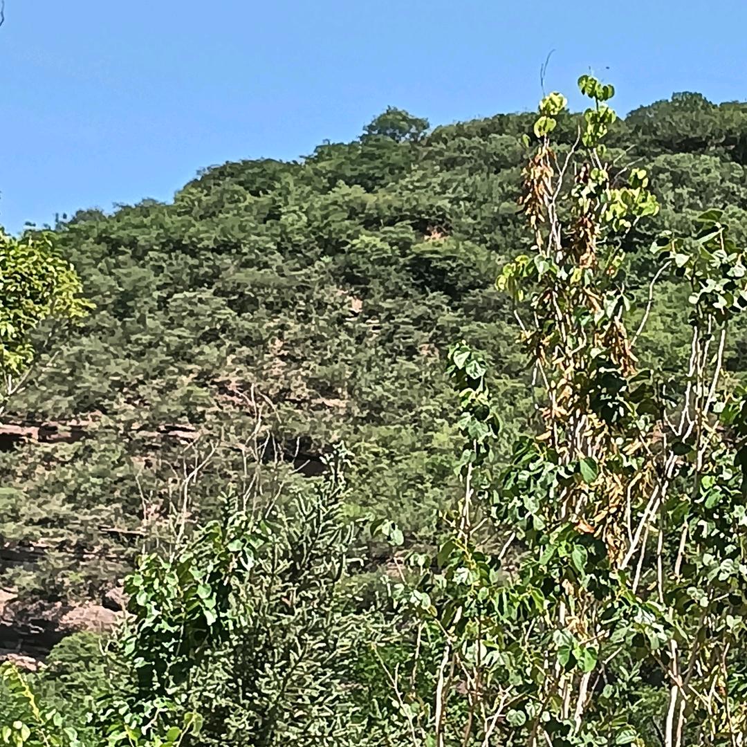 终生皆苦@唯有自渡