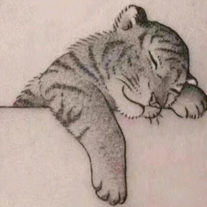 睡不醒的猫
