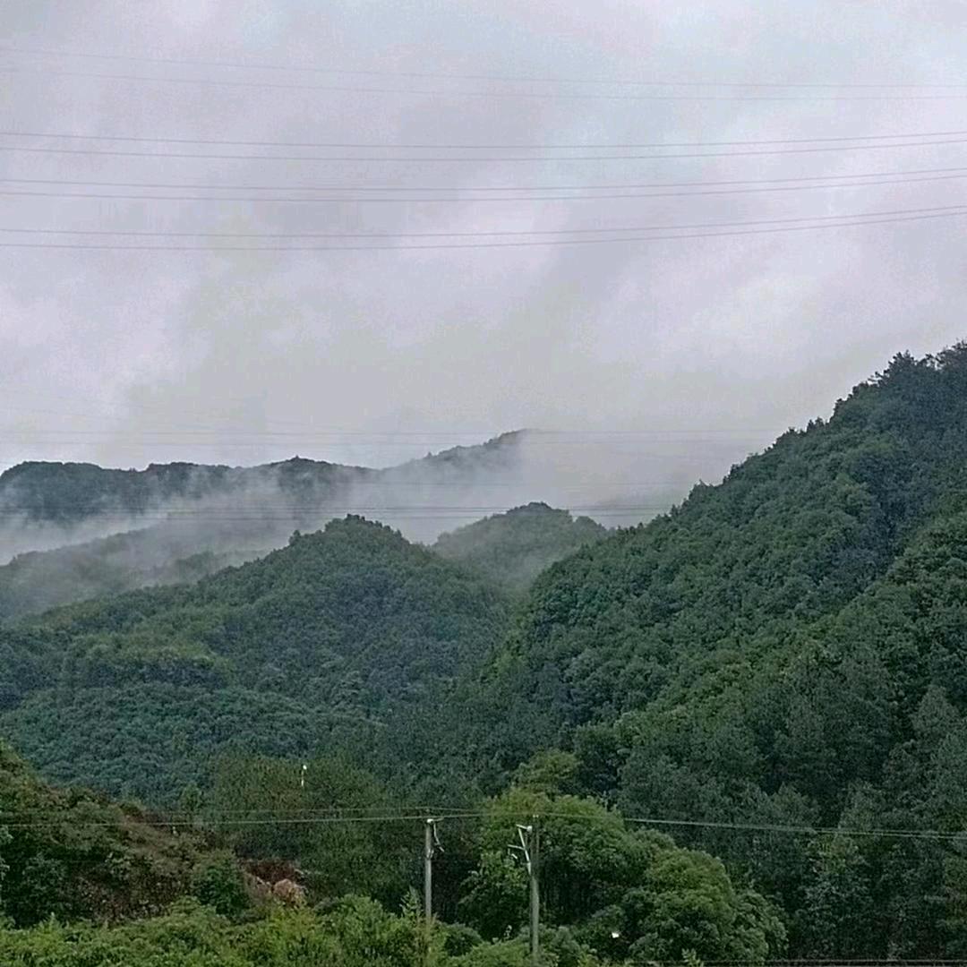 妩媚人生