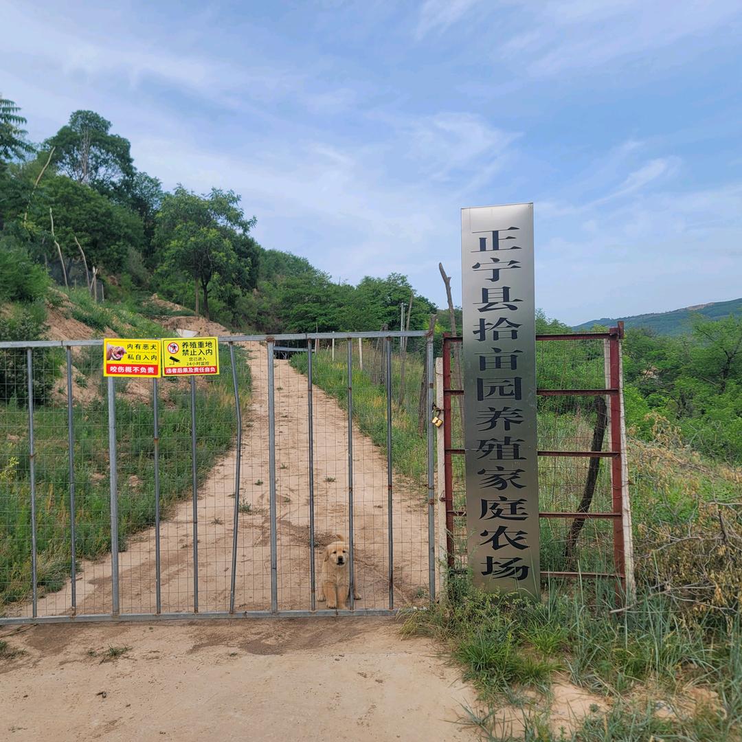 拾亩园养殖农场