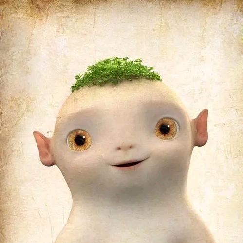 zz