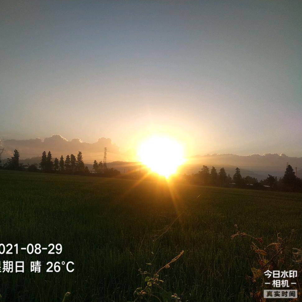 余情未了