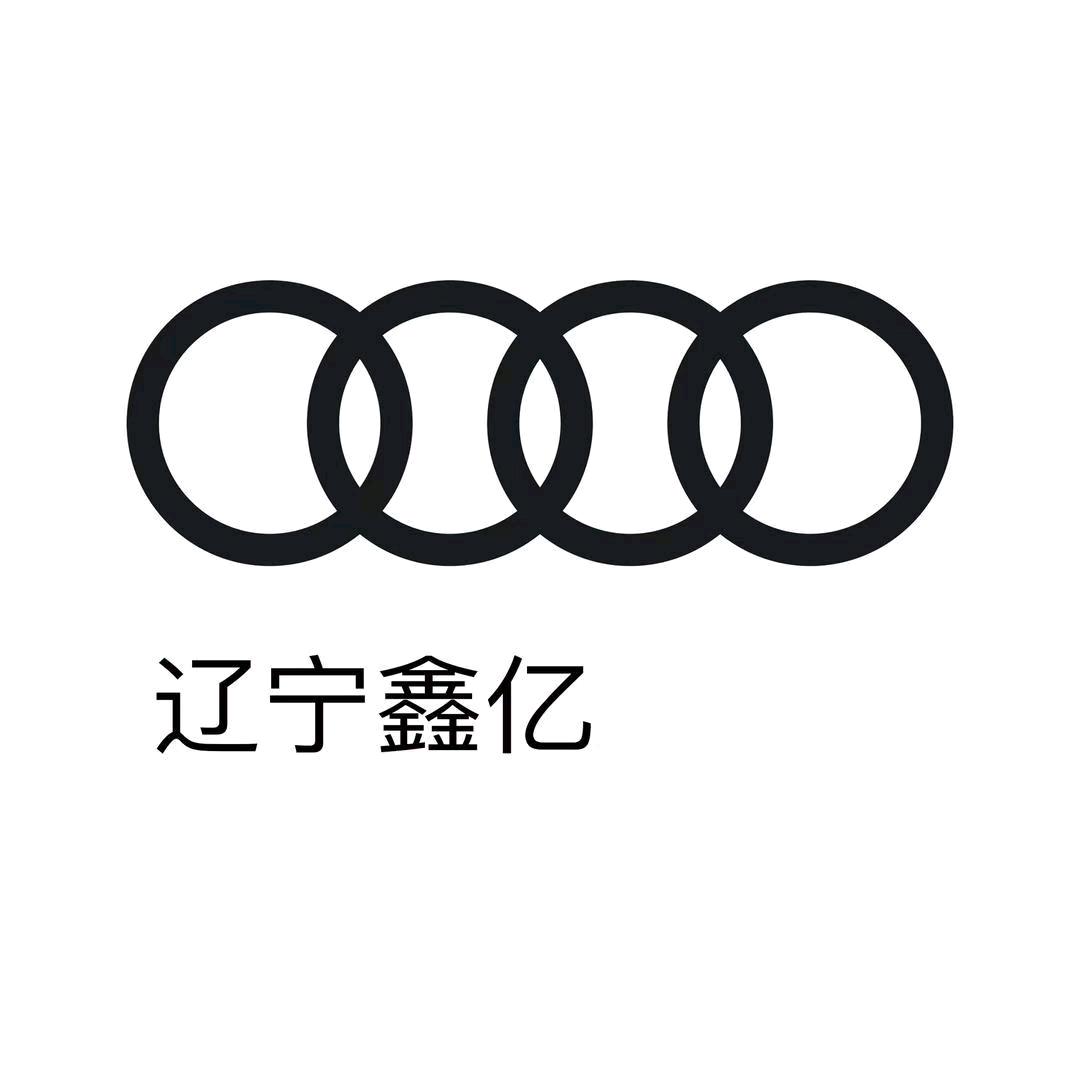 买奥迪到鑫亿