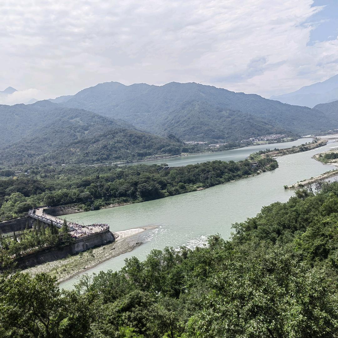 大森林