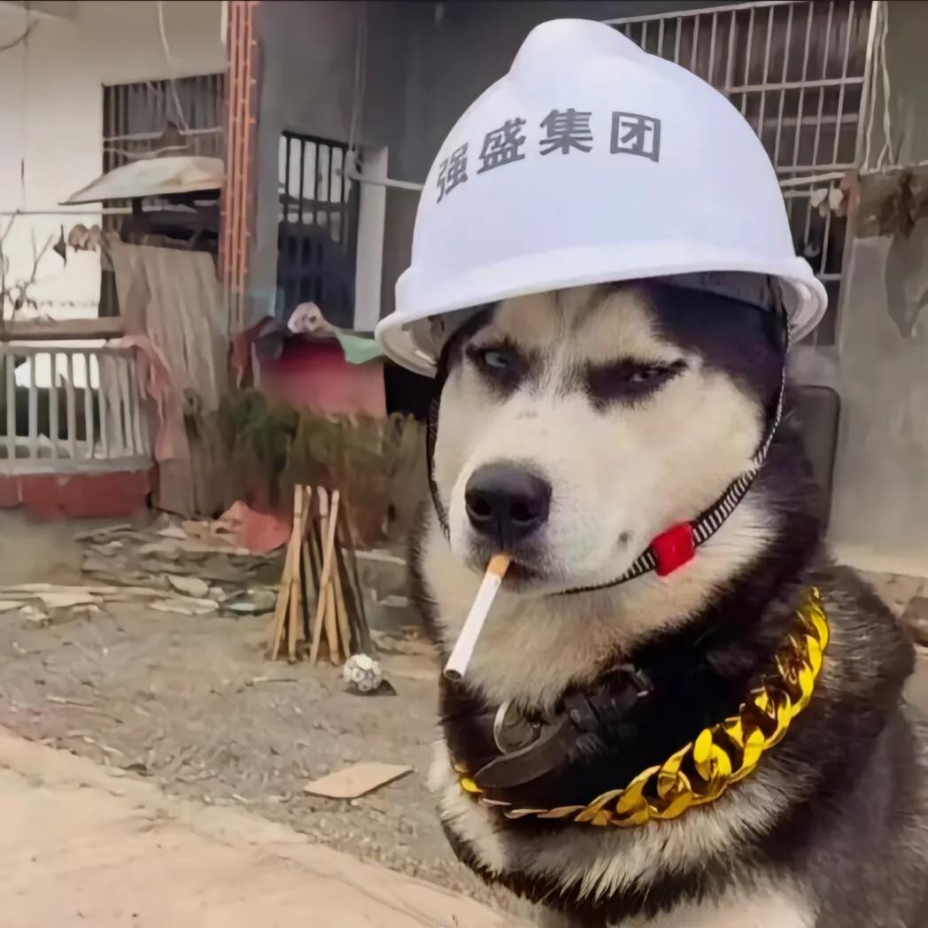 我不是淑女