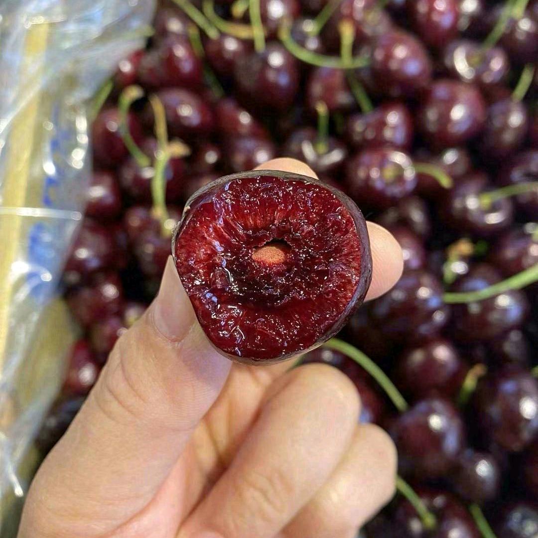 小✌龙🐉夏🍊