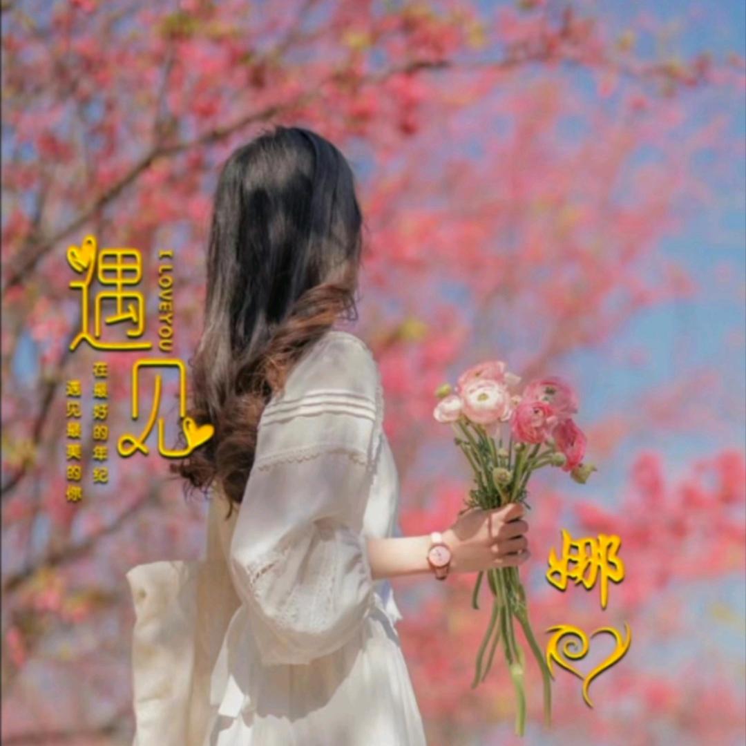 此刻〃安静头像