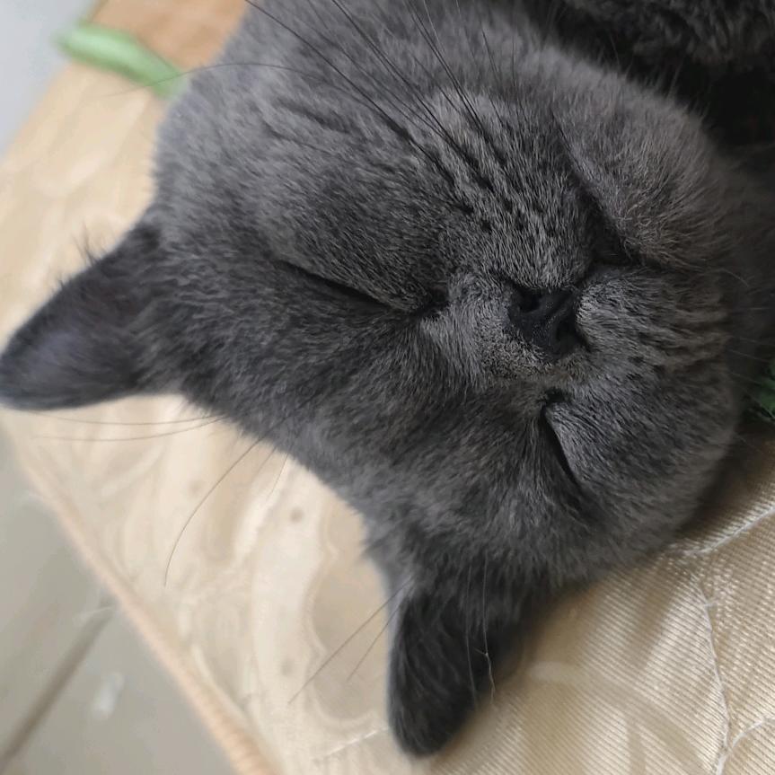 不表白