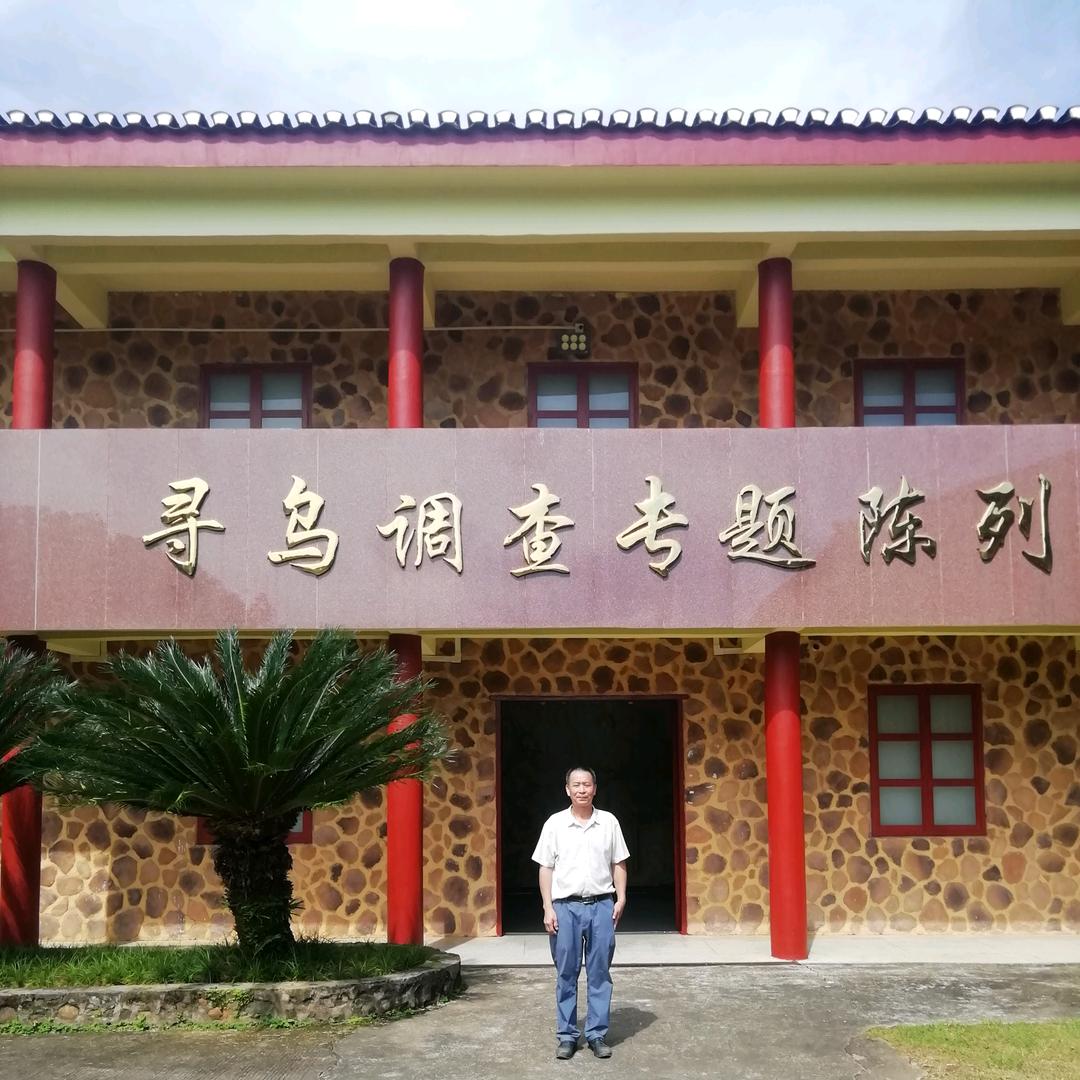 鑫龙发装饰材料商行