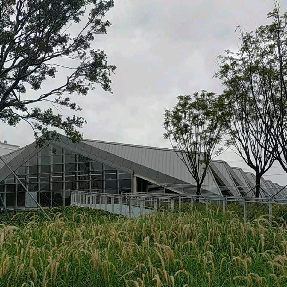 彬哥(668）