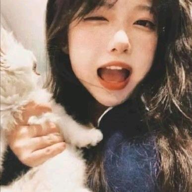 🕊️