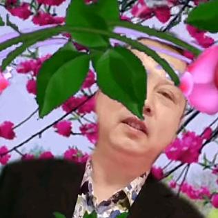 心酸(没有避风港)