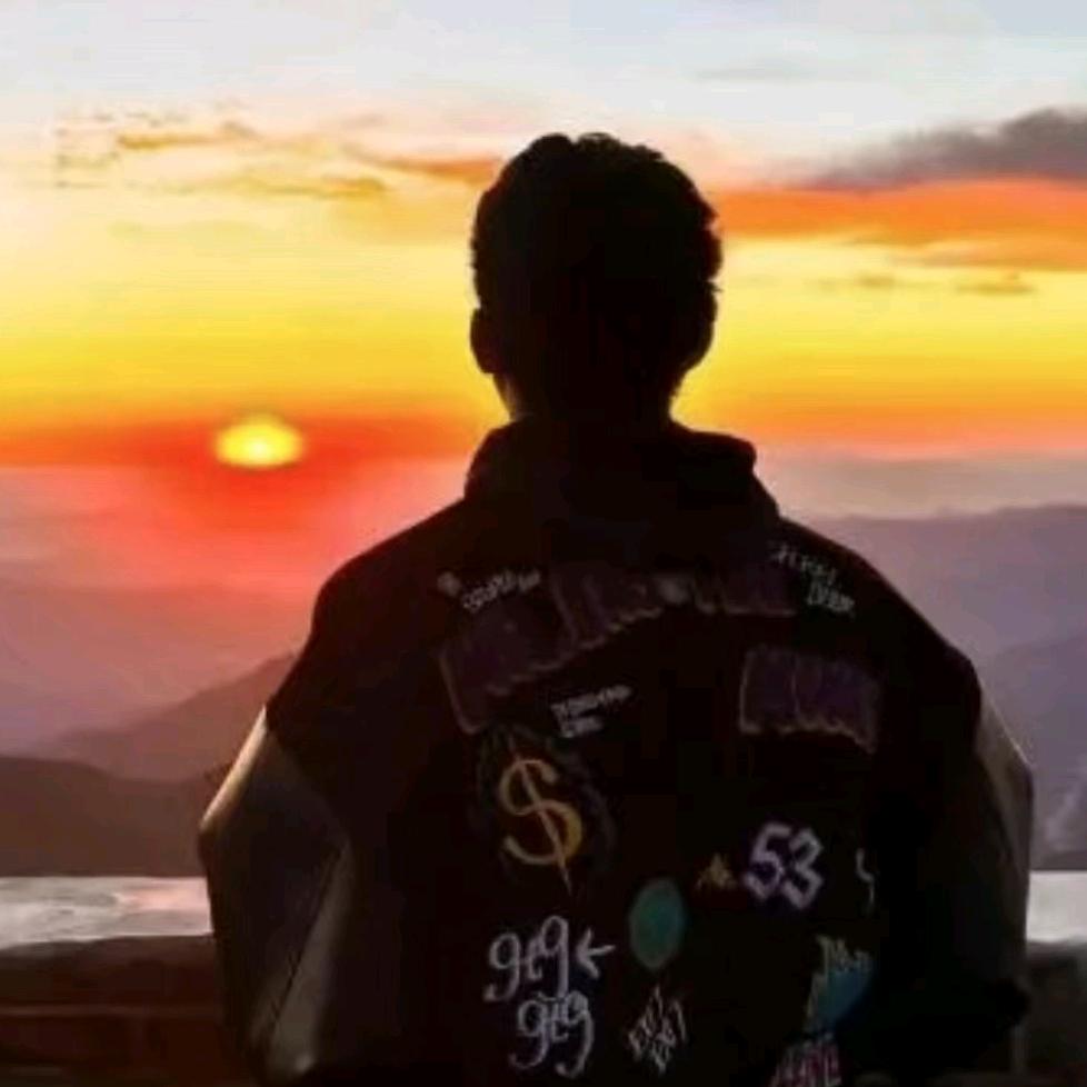 爱搞科研的富浩头像