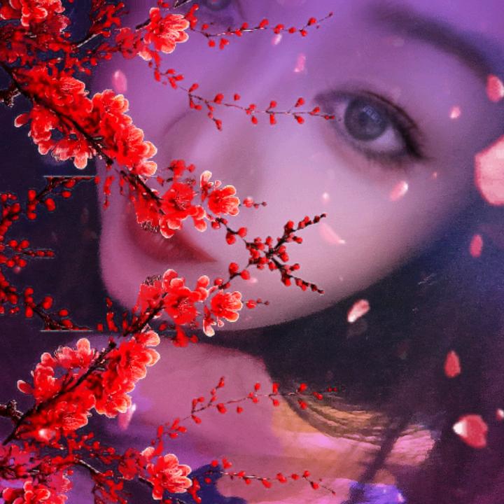 流浪二哥