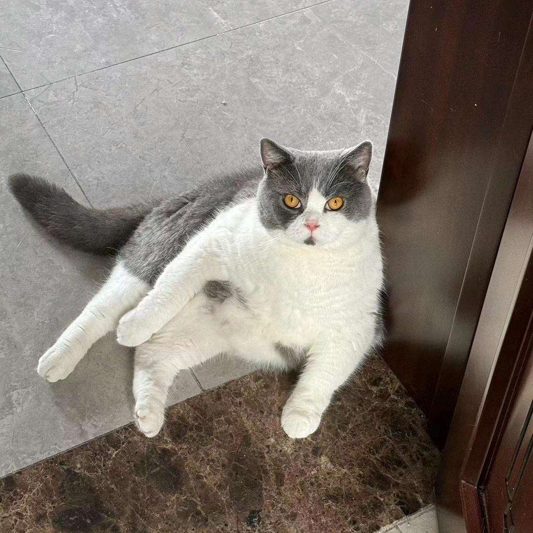 静心斋