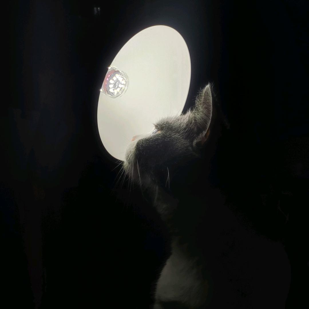 笙周